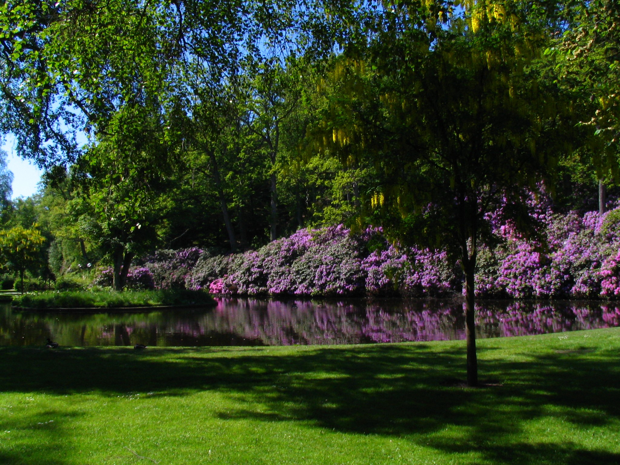 Ronneby Brunnspark - Sveriges Vackraste Park